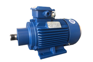 Special Motor for Edge Grinding And Polishing Machine